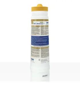 FS22P00A00 BWT Cartridge Bestmax