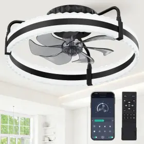 HYJ-WSS20-B1 CRAZYPAI Ceiling Fan Dimmable Led Lights Speeds