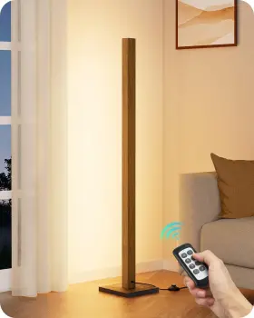 HBFL02V EDISHINE Century Floor Lamp Dimmable Led Remote
