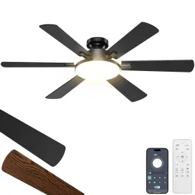 CL112-1 ETERFUN Ceiling Fan Double Blades Motor Remote Led