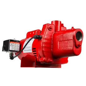 602207 RED LION Pump Gpm Shallow Cast Iron Jet Volt