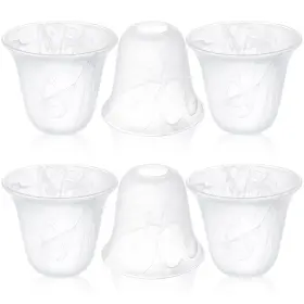 TEENYYOU-DEFR-5689 TEENYYOU Glass Lamp Shade Pack Fitter