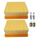 2PK Tune Up Kit For Stihl BR800 BR800C BR800X Fits 4283 141 0300