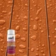 Olympic WaterGuard 11.75 oz. Woodland Cedar 11 oz.,