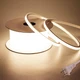 BENLUN AC 110V LED Neon Strip Light 32.8FT, 3000K Warm White Led Rope Lights ...