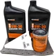 Generac 5W-30 Full Synthetic Oil Change Kit 2 Quarts oil and Filter,1.89 Liters