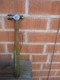 1960s Vintage 8 oz. Head x 12 Length * PROTO * Small Ball Peen Hammer 1308-P USA