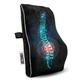 NASCAR Lumbar Support Pillow -Office Chair, Car, Home, More! Memory Foam, Velvet