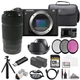 Sony a6700 + E 55-210mm f/4.5-6.3 OSS Lens 128GB + Ext Bat+ 3 PC Filter- Kit