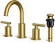 FORIOUS Brushed Gold Bathroom Faucet 3 Hole, Two Handle Bathroom Sink Faucet 