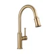 Lava Odoro Champagne Gold Kitchen Faucet with Pull Down Sprayer, Single Handl...