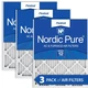 Nordic Pure 20x25x1 (19 1/2 x 24 1/2 x 3/4) Pleated MERV 12 Air Filters 3 Pack