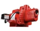 Red Lion RJS-75-PREM 3/4 HP, 16 GPM, 115/230 Volt, Premium Cast Iron 602207