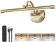 Tassuowell Picture Light for Wall, Battery Operated 15.7inch, Antique Bronze 