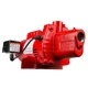 Pump 3/4 HP 16 GPM 115/230V Shallow Well Cast Iron Red Lion Jet RJS-75-PREM Volt