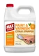 Paint Stripper Citrus Formula 1 Quart Removes Latex Oil Based Max Strip Varnish