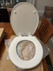 BEMIS 730SLEC 346 Toilet Seat with Slow Close and Removes Easy for Cleaning, ...