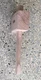 Wooden Mallet 4 &frac12;&rdquo; Bora 540049 The Well-Balanced Beechwood Woodworking Mallet...