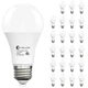 evelor 24-Packs A19 LED Light Bulbs,100 Watt 24 Pcs, Daylight 5000k 
