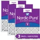 Nordic Pure 20x25x1 (19 1/2 x 24 1/2 x 3/4) Pleated MERV 8 Air Filters 3 Pack