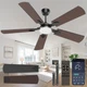 Crazypai Ceiling Fans with Lights, 52 Inch Modern 52 Inch, Black
