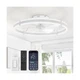 ZMISHIBO 24 Inch Ceiling Fans with Lights and Remote, Modern Low Profile Ceil...