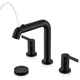 Bathroom Faucet 8 Inch 2 Handle Pull Down Sprayer Matte Black LJ-9058A-2 KENES