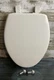 BEMIS 7300SLEC 000 Toilet Seat will Slow Close and Removes Easy for Cleaning,...