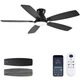 Ceiling Fan 52 Inch Low Profile Flush Mount DC Motor Remote Black JSAITEE Fans