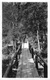 LaHonda Canyon California Big Tree Inn Bridge Real Photo Antique Postcard K19094