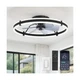 ZMISHIBO 24 Inch Ceiling Fans with Lights and Remote, Modern Low Profile Ceil...