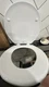 BEMIS 500EC 390 Toilet Seat with Easy Clean & Change Hinges, 1 Pack Round, Cotto