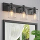 Espird Bathroom Vanity Light,3 Light Matte Black Light Fixture with Thickened...