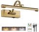 Tassuowell Rechargeable Picture Light with Remote Control,12 12inch, Brass