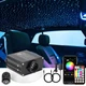 Fiber Optic Lights 650pcs 13.1ft 0.03in RGBW Bluetooth APP Control Black CHINLY
