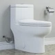 Elongated Toilet 12 Rough In Dual Flush 1.6 GPF White Ceramic HOROW Piece High