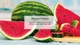 Little Trees 60320 Watermelon Hanging Air Freshener for Car & Home 24 Pack!