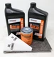 Generac 5W20 Full Synthetic Oil Change Kit 2 Quarts Oil And Filter Set