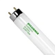 Fluorescent Tube T8 32 Watt 3500K 30000 Hours FO32/835 ECO Sylvania 21779 2950