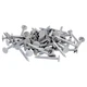 ProFIT 0069138 Hand Drive Roofing Nail, 2 in L, Flat Head, 11 ga, Steel, 1 lb