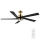 Ceiling Fan 64 Inch DC Motor 5 Blades Remote Light Brass Black SYCF6401 WINGBO