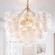 Chandelier Pendant Light Fixture 24 Cluster Swirled Clear Glass LR1506 BeyPan