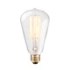 Globe Electric 83008 60W Vintage Edison S-Type Galeon (Pack of 1), Clear 