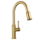 Lava Odoro Bronze Gold Kitchen Faucet with Pull Down Sprayer, Brushed Brass K...