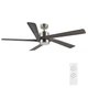 Ceiling Fan 64 Inch DC Motor 5 Blades Remote Nickel Gray WINGBO Lights Control