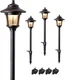 EDISHINE Low Voltage Landscape Lighting, 12V 3W 120LM 3000K Seed Glass Outdoor L