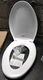 Bemis Toilet Seat,Elongated Bowl,White,14" W GR1200E4 000