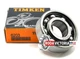 TIMKEN 6203 Deep Groove Ball Bearing, Open, No Seals 17x40x12 (mm)